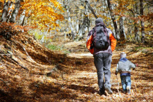 A man and child walking on a trail in the woods.