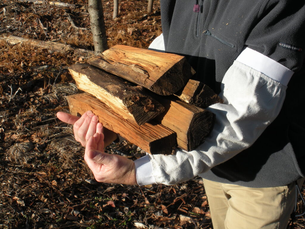 Split Firewood in Hands