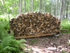 large firewood holder filled with split wood in the middle of woods