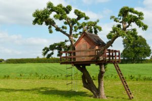 tree house with deck ladder in middle of green grass field