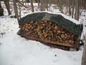 firewood stacked on 2x4's with green tarp on top in the middle of woods in Winter snow