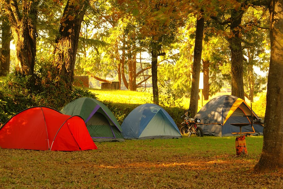 4 camping tents pitched outdoors under trees on a sunny day